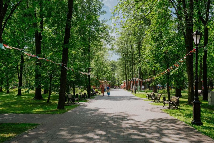 Кино под открытым небом в Соляном саду.